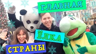 ГЛАВНАЯ ЁЛКА СТРАНЫ / КИЕВ 2015