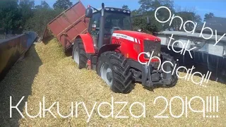 Kukurydza 2019!!! ☆Ona by tak chciała!!!☆ ☆3x John Deere 4x New Holland 1x Massey Ferguson 1x Ursus☆