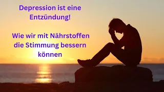 Depression ist eine Entzündung! Vollständiges Referat auf der Online-Fachtagung vom 7.11.23