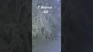 Г.Якутск.