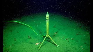 7 Eerie Sounds Recorded in the Deep Ocean