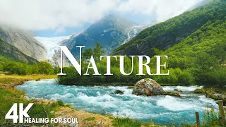 Nature Relaxation Film 4K - Peaceful Relaxing Music - Nature 4k Video UltraHD