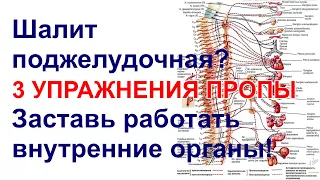 Шалит поджелудочная? ТРИ упражнения Пропы заставят работать внутренние органы!