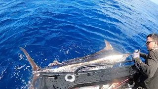 Gold Coast blue marlin trolling