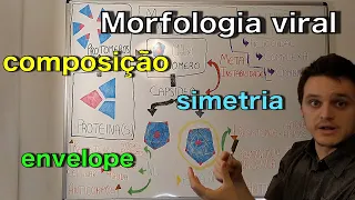 Morfologia viral  | Curso de virologia | Medicina passo a passo