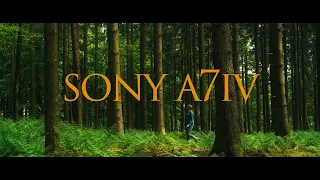 SONY A7IV "Cinematic" Forest Walk