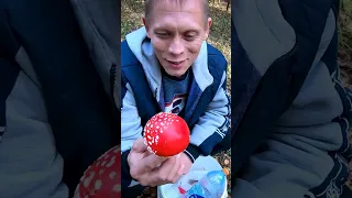 Этот 🍄 Я ТОЖЕ ВОЗЬМУ