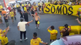 Caminata De La Sur Oscura Pal ModeloO