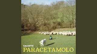 Paracetamolo