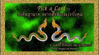 EP1: Pick a Card: องค์พญานาค อยากสื่อสารอะไรกับคุณ