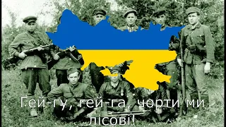 "Гей-гу, гей-га!" - Ukrainian Rare Version (Patriotic Song)