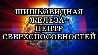 Тайны Сознания - Царь в Голове / Виктор Максименков