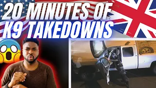 🇬🇧BRIT Reacts To 20 MINUTES OF K9 TAKEDOWNS!