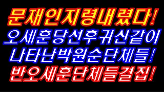 문재인청와대 지령, 귀신같이나타난 박원순세력들!