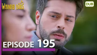 Wounded Birds Episode 195 - Urdu Dubbed | Turkish Drama