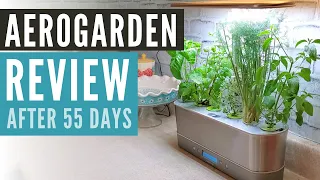 AeroGarden Review after 55 Days | AeroGarden Review Series Episode 4