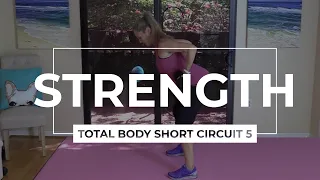 STRENGTH: Total Body Short Circuit 5 - Full Body Workout in Under 15 Minutes With 1 Set of Dumbbells