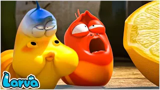 LARVA Season 3 Episode 40 ~ 143 🍟 New Version Larva | Comics | Mini Series from Animation LARVA