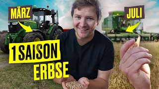 FarmVlog: Von AUSSAAT bis zur ERNTE – Erbsen-Edition I Hundert Hektar Heimat