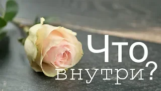 ЧТО ВНУТРИ? Сколько лепестков у розы и что у неё внутри? / TSVORIC / WHAT'S INSIDE?