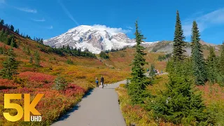 2 Hours Autumn Hike along Skyline Trail, Mt. Rainier - 5,5 mile Hard Trail near Paradise Inn