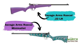 Multicolored Savage Rascal 22 LR