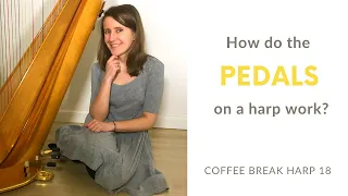 How do the pedals on a harp work? - Coffee Break Harp 18