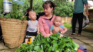 Parents and children go together to harvest the vegetable garden - take it to the market to sell