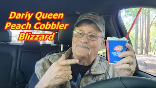 Dairy Queen Picnic Peach Cobbler Blizzard® Taste Test and Rating