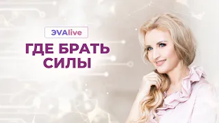 Где брать энергию  Где искать источник энергии  Энергия Ци  ЭVAlive