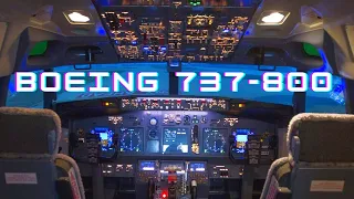 Best LANDING cockpit camera  Boeing 737-800