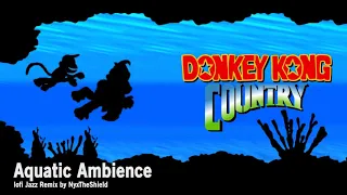 Donkey Kong Country - Aquatic Ambiance [lofi Jazz Remix by NyxTheShield]