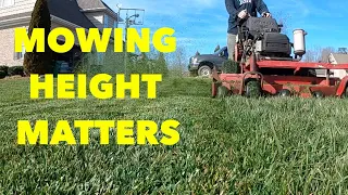 The right mowing height for your grass | DIY Lawn Care