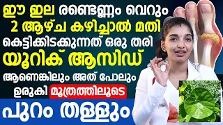 ഈ ഇല രണ്ടെണ്ണം കഴിച്ചാൽ ശരീരത്തിലെ യൂറിക് ആസിഡ് മുഴുവൻ മൂത്രത്തിലൂടെ പുറത്തു പോകും | uric acid