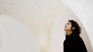 Built by Silkworms | Neri Oxman's "Silk Pavilion II" | ARTIST STORIES