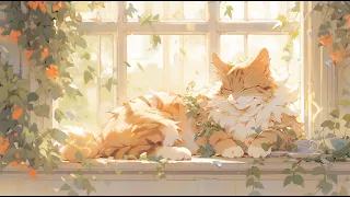 Lofi With My Cat || Cat & Wonderful Day😽❣️☀️ Work/Relax/Healing  [ Lofi Mix - Lofi Songs ]