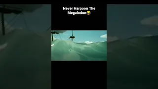 Never Harpoon The Megalodon