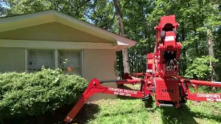 92' spider lift taking down an oak over a house