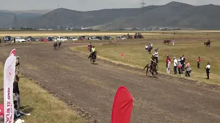 ARDAHAN DOĞU ANADOLU ŞANPİYONASI Rahvan at yarşları 4