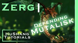 Starcraft 2: Zerg vs Zerg Guide | Defending Mutalisks