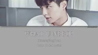 LAY - WHAT U NEED? [Color Coded Chinese|Rom|Eng]