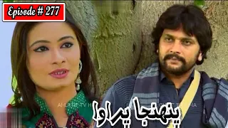 Pahinja Parawa Episode 277 Sindhi Drama | Sindhi Dramas 2022