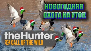 The Hunter Call of the Wild. 🎄НОВОГОДНЯЯ🎅 ОХОТА НА УТОК🦆.