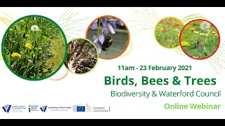 Bees, Birds & Trees- Biodiversity & Waterford Council