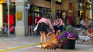 Bushman prank with 75 inches tiger : Scaring people on Halloween 2022