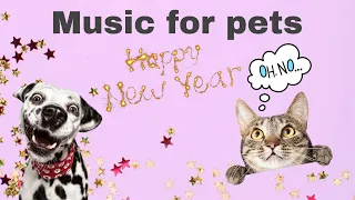 New Years' Eve Music | Music to Keep Your Dog Calm During New Years' Eve Fireworks