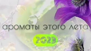 Ароматы лета -2023  #Torino21Xerjoff #MatsukitaCliveChristian #ArrakisSpiritOfKings