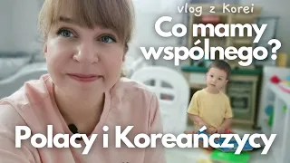Różnice kulturowe na odwrót - co łączy Polaków i Koreańczyków? - daily vlog z Korei