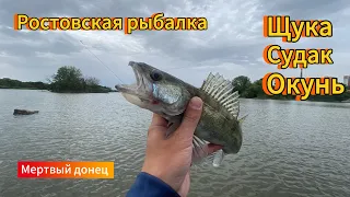 ПОЙМАЛ ВСЕ ЧТО ВОДИТСЯ !!! Ростовская рыбалка, «Мертвый Донец»