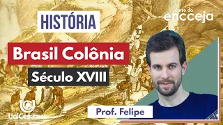 BRASIL COLÔNIA (SÉCULO XVIII) | RESUMO DE HISTÓRIA PARA O ENCCEJA